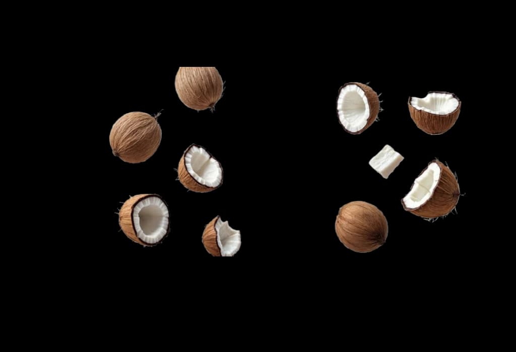 Coconut