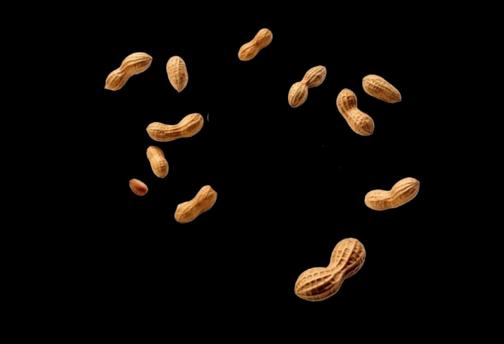 Peanut